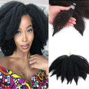 Amir Soft Afro kinky Curly Twist Braids Crochet Hair Synthetic Braiding Hair Extension For Black/ White Women