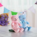 Just Because My 1st Teddy Pink / Blue Bear Super Soft Stuffted Animals Plush Toy Teddy Bear for Baby, 33CM