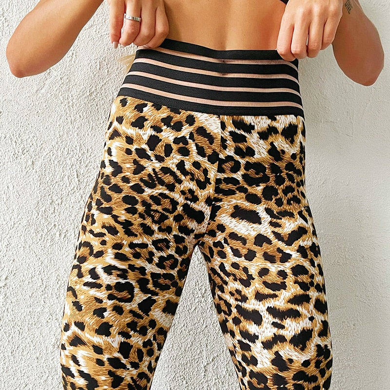 Mallas sexis de leopardo para mujer, mallas de entrenamiento de realce, mallas de leopardo de cintura alta para mujer, mallas deportivas elásticas en 3 colores