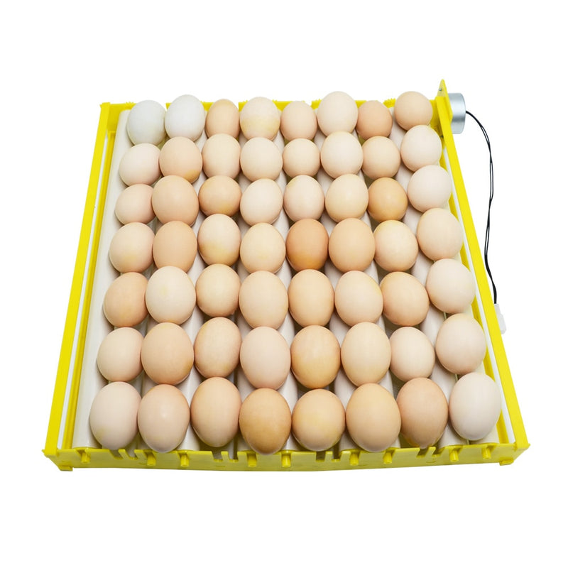 360 Degree Automatic Rotary Egg Turner Roller Tray Egg Hatching Incubator Farm Incubation Tool Duck Quail Bird Poultry Accessory