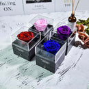 Mothers Day Natural Eternal Rose Jewelry Box /w 100 Languages Love Necklace Preserved Flowers Proposal Ring Case Gifts for Her