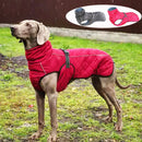 Chaqueta para exteriores para perros, abrigo impermeable reflectante para mascotas, chaleco, ropa cálida de invierno para perros de algodón para perros medianos grandes, Labrador