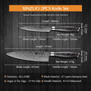 XINZUO 2PCS Kitchen Knives Set 67 Layers Damascus High Carbon 8'' Chef &5'' Utility Knife Stainless Steel with Pakkawood Handle