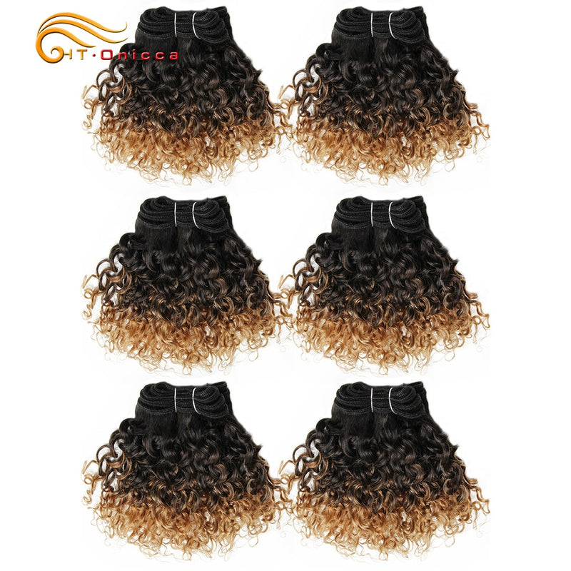 6Pcs/Lot Peruvian Curly Bundles Jerry Curl Double Drawn Human Hair Remy Funmi Hair T1B 30 99J Colored Hair Extension Htonicca