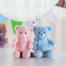 Just Because My 1st Teddy Pink / Blue Bear Super Soft Stuffted Animals Plush Toy Teddy Bear for Baby, 33CM