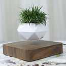 Floating Geometric Magnetic Levitating Flower Pot Bonsai Creative Humidifier Self Watering Planter Home Office Desk Decor DHL