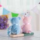 Just Because My 1st Teddy Pink / Blue Bear Super Soft Stuffted Animals Plush Toy Teddy Bear for Baby, 33CM