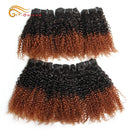 6Pcs/Lot Peruvian Curly Bundles Jerry Curl Double Drawn Human Hair Remy Funmi Hair T1B 30 99J Colored Hair Extension Htonicca