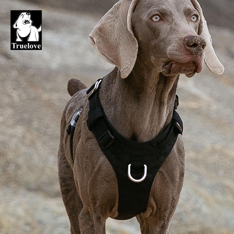 Truelove Wasserdichtes Hundegeschirr, leichtes, strapazierfähiges Nylon-Haustier-Hundeweste-Geschirr, reflektierend, verstellbar, für kleine große Hunde