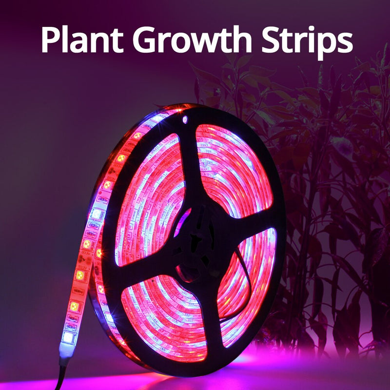 5M LED Phyto Lamps Full Spectrum LED Grow Light 300 LEDs 5050 Strip LED Fitolampy Grow Lights para invernadero planta hidropónica