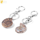 Llaveros CSJA para puerta de coche y motocicleta, llavero de langosta para hombres y mujeres, colgantes de concha de Animal de amonita de piedra Natural F024