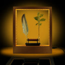 Slow Motion Frame LED Optical Illusion Sculpture Slow Down Time Action Picture Lightweight Object Desktop Decor