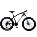 Love Freedom 7/21/24/27 Speed Mountain Bike 26 * 4.0 Fat Tire Bikes Shock Absorbers Bicycle Free Delivery Snow Bike
