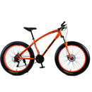 Love Freedom 7/21/24/27 Speed Mountain Bike 26 * 4.0 Fat Tire Bikes Shock Absorbers Bicycle Free Delivery Snow Bike