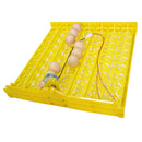 Nueva incubadora de 63 huevos, bandeja giratoria, equipo de incubación de aves de corral, pollos, patos y otras aves de corral, incubadora que gira automáticamente los huevos