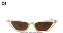 ZXWLYXGX 2020 new cat eye sunglasses women brand design retro colorful transparent colorful fashion cateye sun glasses men UV400