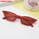ZXWLYXGX 2020 new cat eye sunglasses women brand design retro colorful transparent colorful fashion cateye sun glasses men UV400