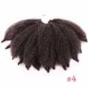 Amir Soft Afro kinky Curly Twist Braids Crochet Hair Synthetic Braiding Hair Extension For Black/ White Women
