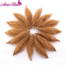 Amir Soft Afro kinky Curly Twist Braids Crochet Hair Synthetic Braiding Hair Extension For Black/ White Women