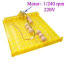 Nueva incubadora de 63 huevos, bandeja giratoria, equipo de incubación de aves de corral, pollos, patos y otras aves de corral, incubadora que gira automáticamente los huevos