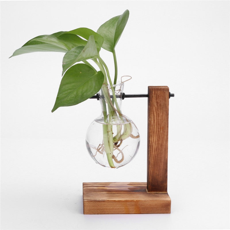 Glass Wood Vase Planter Terrarium Table Desktop Hydroponics Plant Bonsai Hanging Flower Pot with Wooden Tray Home Decoration
