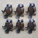 Fashion Vintage copper Plated Owl cute natural tiger eye stone onyx opal pendants for jewelry making wholesale 12pcs/lot free