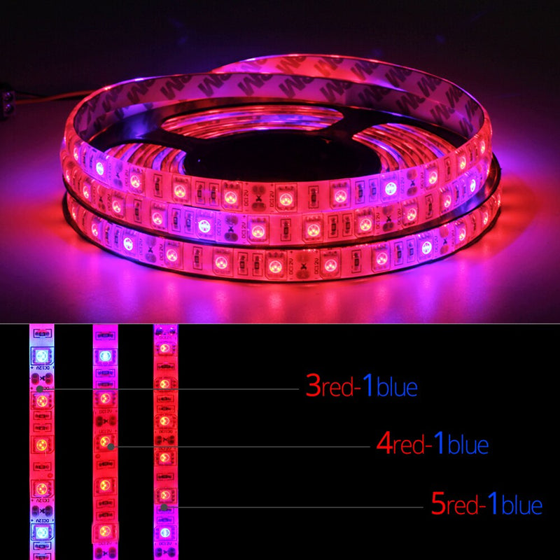 5M LED Phyto Lamps Full Spectrum LED Grow Light 300 LEDs 5050 Strip LED Fitolampy Grow Lights For Greenhouse Hydroponic plant