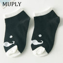 5 par/lote de calcetines de algodón para bebés, calcetines con estampado de bigote para niñas y niños, calcetines para niños pequeños de primavera y otoño, calcetines para niños de 1 a 3 años
