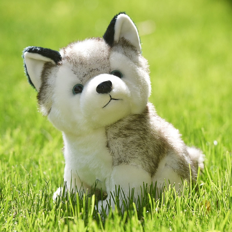 Lindo perro husky de 20-30cm, juguete de peluche de Lobo, animal de peluche suave, lindo muñeco de peluche kawaii para niños, regalo de cumpleaños esponjoso para niño WJ131