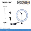 10&quot; LED Ring Light Photographic Selfie Ring Lighting with Stand for Smartphone Youtube Makeup Video Studio Tripod Ring Light
