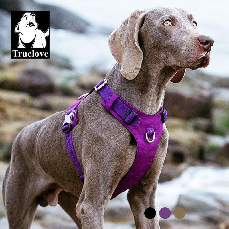 Truelove Wasserdichtes Hundegeschirr, leichtes, strapazierfähiges Nylon-Haustier-Hundeweste-Geschirr, reflektierend, verstellbar, für kleine große Hunde