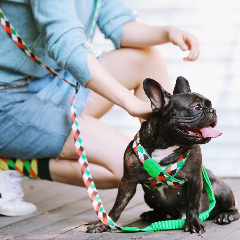 Matching Hands Free Running Dog Harness And Leash Set Training Designer Stylish Pink Dog Strap Harness Lead Retractable Walking