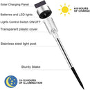 LED Cold White/Warm white Solar lamp Outdoor Solar Powered Pathway Lights  Landscape Light For Lawn/Patio/Yard/Walkway/Driveway