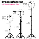 Anillo de luz LED 16/20/26cm 5600K lámpara de anillo para Selfie regulable con trípode soporte para teléfono enchufe USB iluminación para estudio fotográfico