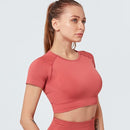 Conjunto de Yoga sin costuras para mujer, ropa de Fitness, conjunto de gimnasio de 2 piezas, Top corto, Leggings, conjunto deportivo para mujer, ropa de entrenamiento