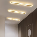 Acrylic Hallway led ceiling lights for living room Plafond home Lighting ceiling lamp homhome lighting fixtures Modern balcony