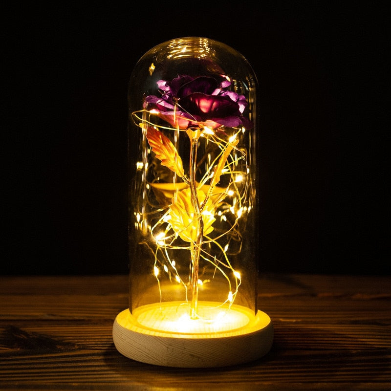 LED Enchanted Galaxy Rose Eternal 24K Gold Foil Flower with String Lights In Dome for Home Decor Christmas Valentine&