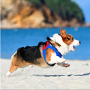 Serie de superhéroes arnés para perros y gatos, chaleco ajustable para mascotas, correa de plomo para caminar para cachorros, arnés para perros pequeños y medianos y gatos