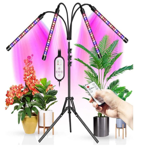 Phyto Lamp Timer Full Spectrum USB Grow Light Lamp For Plants Full Spactrum Lights For Plants Garden Flowers Herbs Grow Box