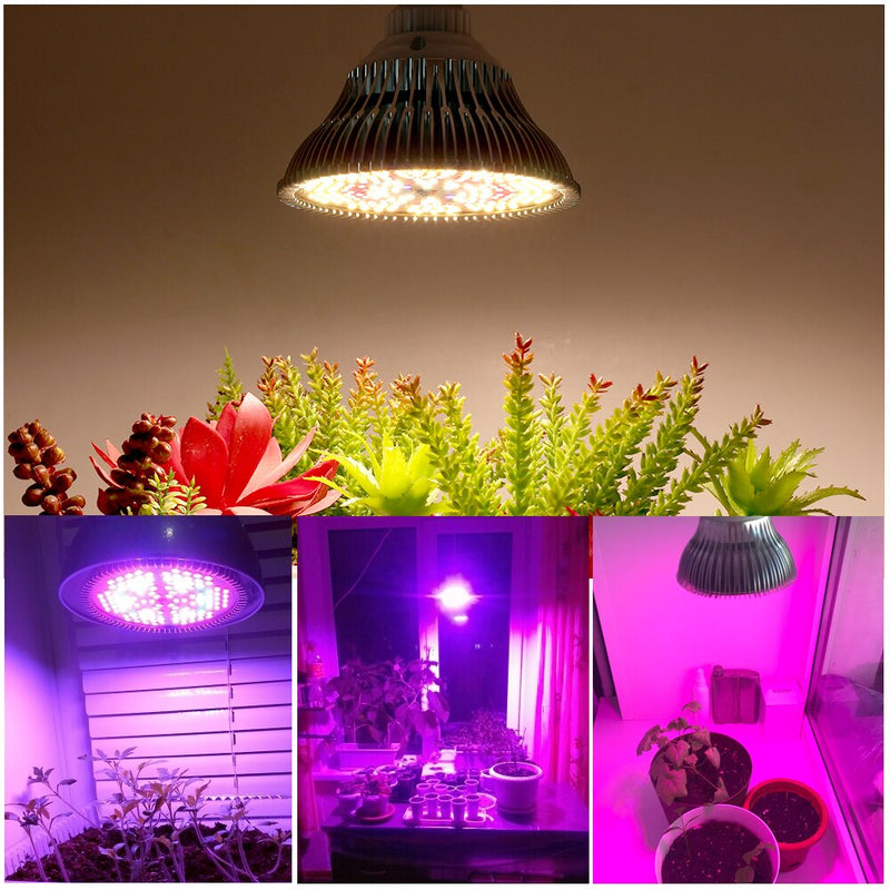 250W LED Grow Glühbirne E27 LED Pflanzenbirne 200 LEDs Sunlike Vollspektrum Grow Lights für Zimmerpflanzen Gemüse und Setzling