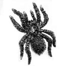 Vintage Statement 10-beinige große schwarze Kristall-Strass-Spinnen-Broschen riesige gefährliche Käfer-Anstecknadel für Halloween-Party-Schmuck