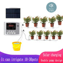 Garden Drip Irrigation Device Double Pump Controller Timer System Solar Energy Intelligent Automatic Watering Device for Plants