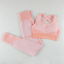 Nahtlose Frauen Set Frauen Sport Gym Anzüge Fitness Sport Langarm Frauen Kleidung