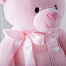 Just Because My 1st Teddy Pink / Blue Bear Super Soft Stuffted Animals Plush Toy Teddy Bear for Baby, 33CM