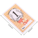 12 Sheet Milestone Baby Photograp Sharing Card Gift Set Baby Age Cards Baby Milestone Cards Baby Photo Cards Newborn Photo props