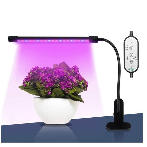 Phyto Lamp Timer Full Spectrum USB Grow Light Lamp For Plants Full Spactrum Lights For Plants Garden Flowers Herbs Grow Box