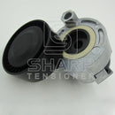 RENAULT 8200612619 8200861569  Belt Tensioner, v-ribbed belt