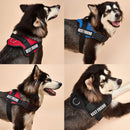 Dog Harness Service Dog K9 Reflective Harness Adjustable Nylon Collar Vest for Small Large Dogs Walking Running Pets Supplies