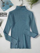 2022 Basic Turtleneck Women Sweaters Autumn Winter Thick Warm Pullover Slim Tops Ribbed Knitted Sweater Jumper Soft Pull Female