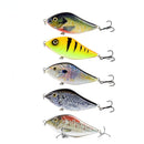 5pcs/Lot 10cm 45g Bionic Jerkbait Lures Slow Sinking NO. 2 Hooks Fit Ocean Lake River With 3D Eyes  For Pike Muskie Troute Shad
